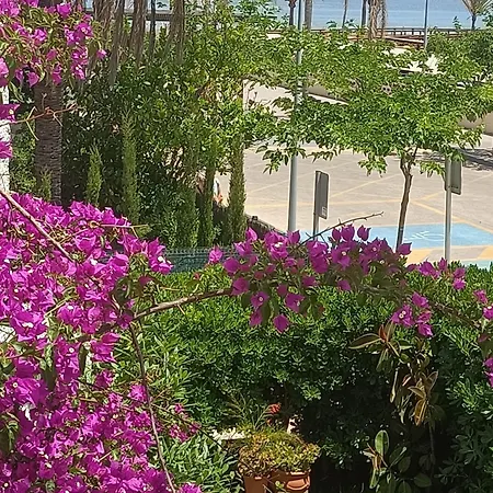 Adosado Con Jardin - Primera Linea * Playa de Gandia