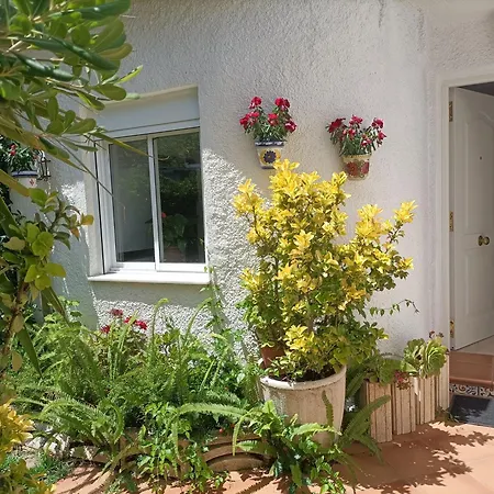 Adosado Con Jardin - Primera Linea