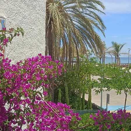 Adosado Con Jardin - Primera Linea Playa de Gandia